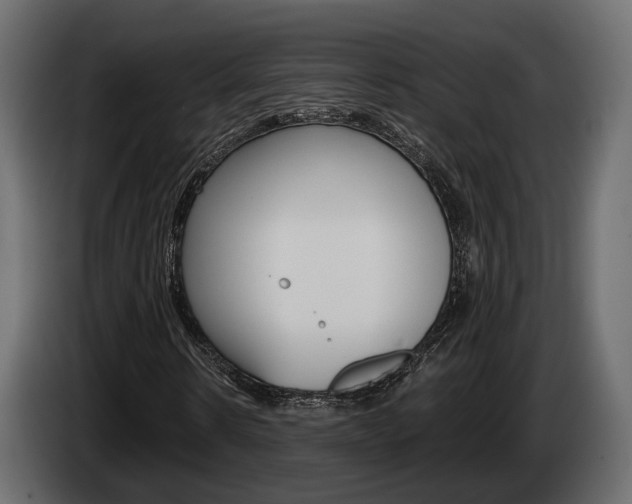 X0000085040914200703051022