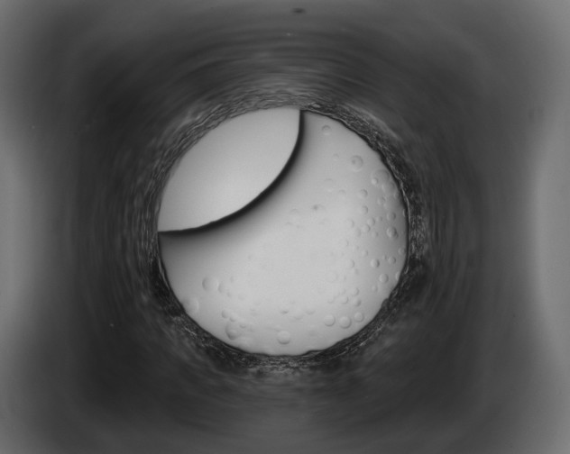 X0000085040917200703051022