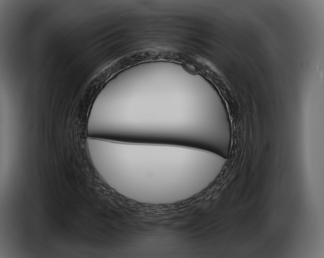 X0000085040919200703051022