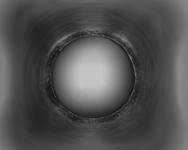 X0000085040920200703051022