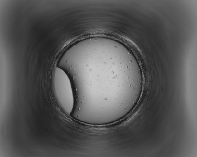 X0000085040921200703051022