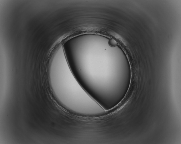 X0000085040922200703051022