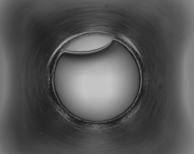X0000085040923200703051022