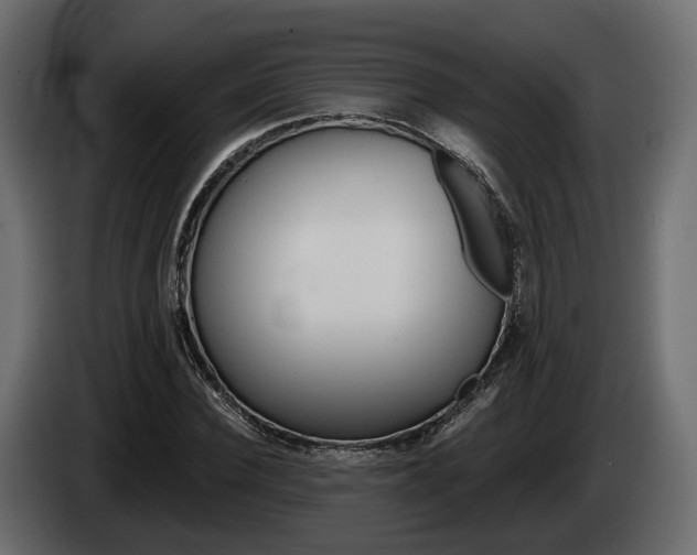 X0000085040924200703051022