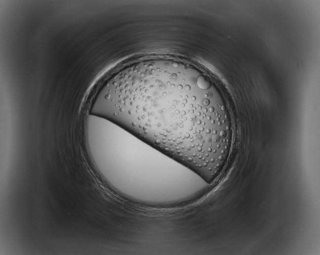 X0000085040925200703051022