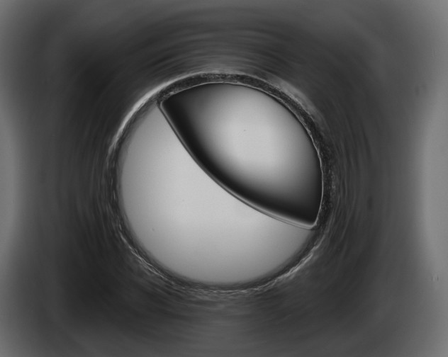 X0000085040926200703051022