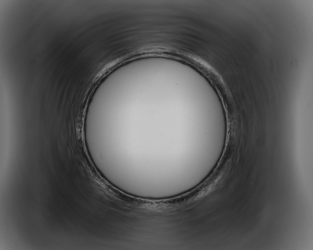 X0000085040929200703051022