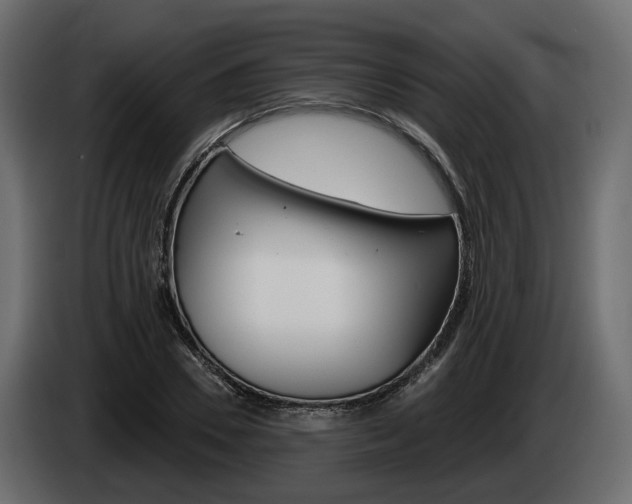 X0000085040930200703051022