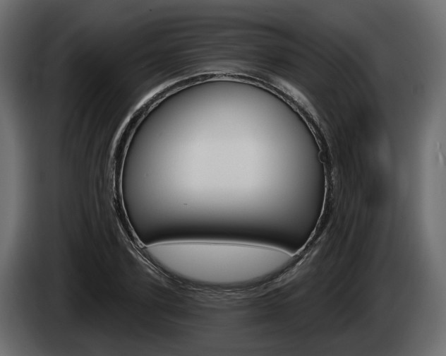 X0000085040931200703051022