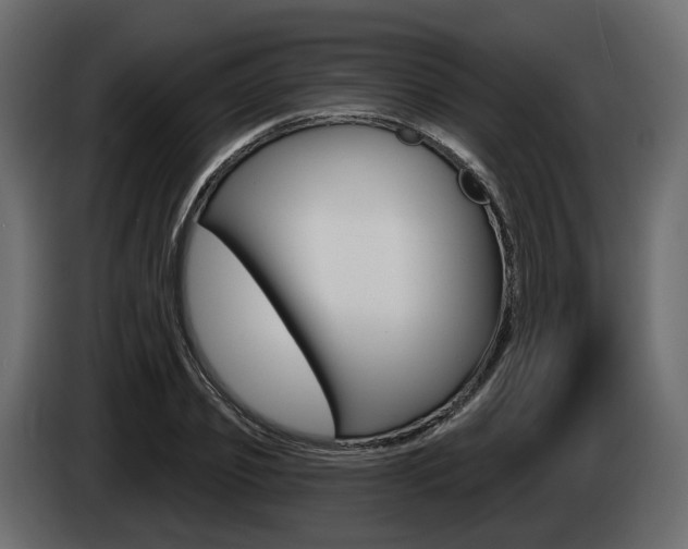 X0000085040933200703051022