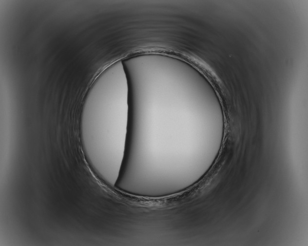 X0000085040937200703051022