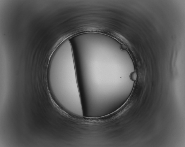 X0000085040938200703051022