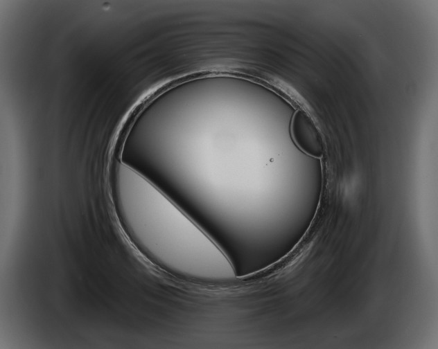 X0000085040939200703051022