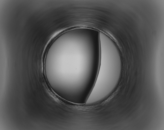 X0000085040940200703051022