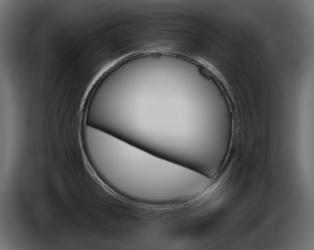 X0000085040941200703051022