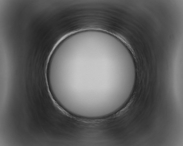 X0000085040942200703051022