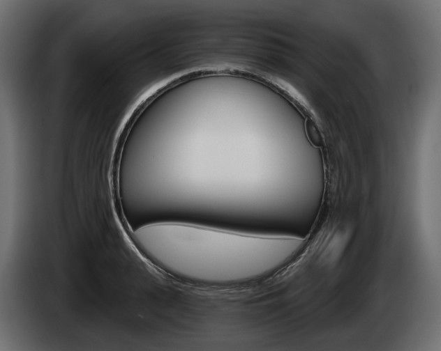 X0000085040943200703051022