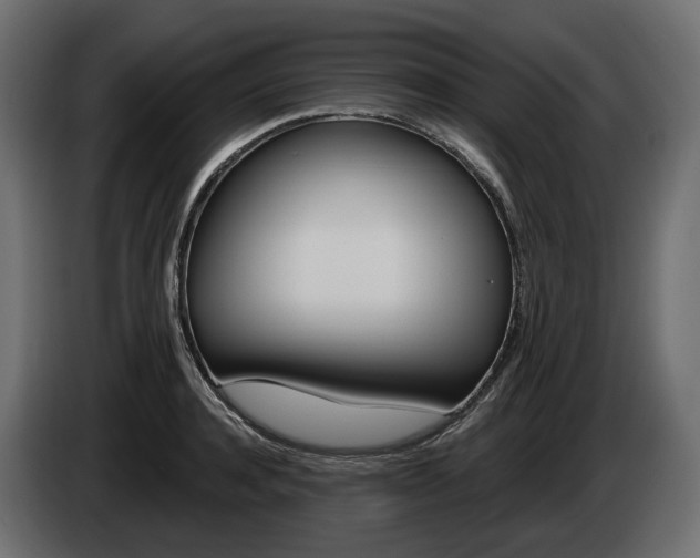 X0000085040944200703051022