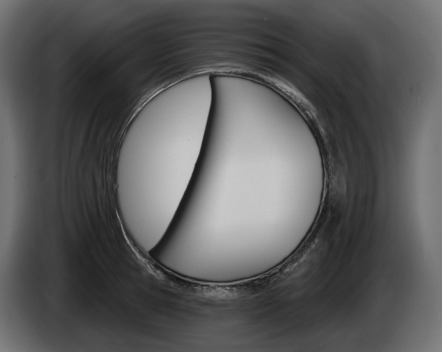X0000085040945200703051022