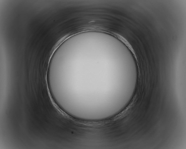 X0000085040946200703051022