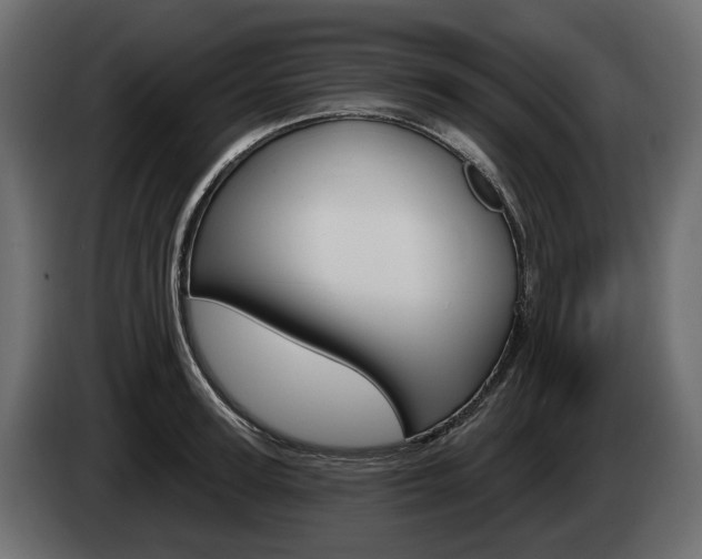 X0000085040947200703051022