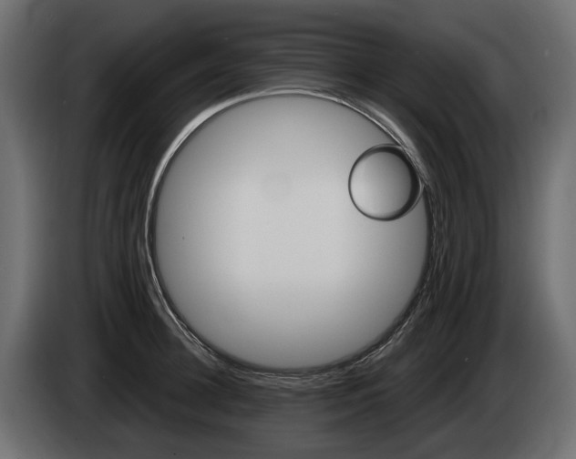 X0000085040948200703051022