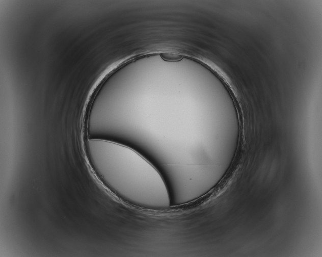 X0000085040949200703051022