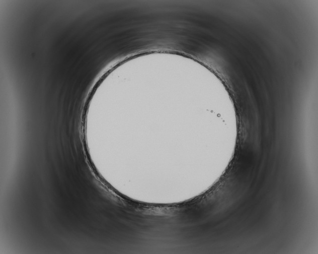 X0000085040950200703051022