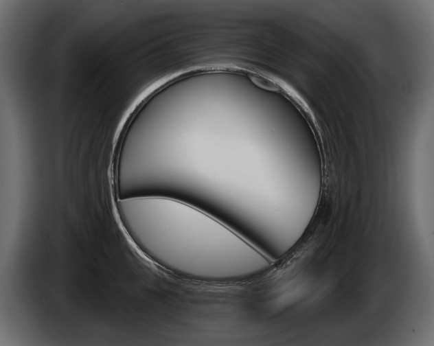 X0000085040951200703051022