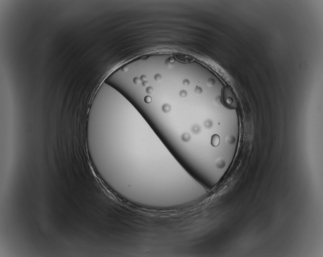 X0000085040953200703051022