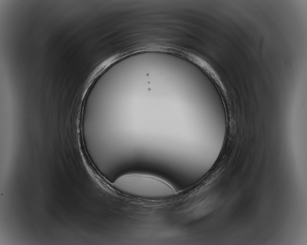 X0000085040954200703051022