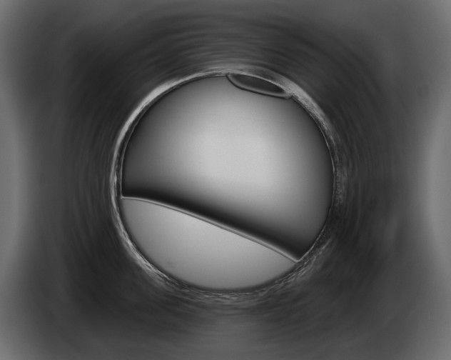 X0000085040955200703051023