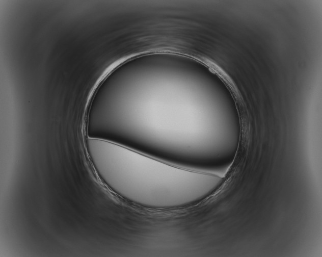 X0000085040956200703051023