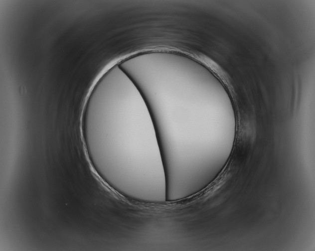 X0000085040958200703051023