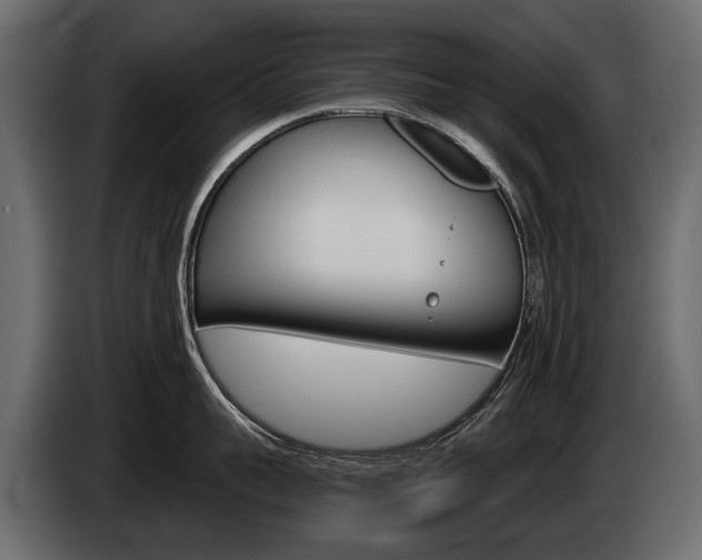 X0000085040959200703051023