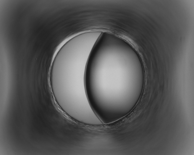 X0000085040960200703051023