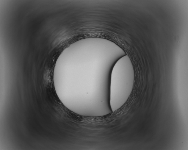 X0000085040962200703051022