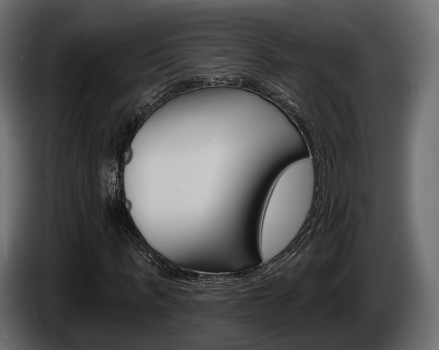 X0000085040963200703051022