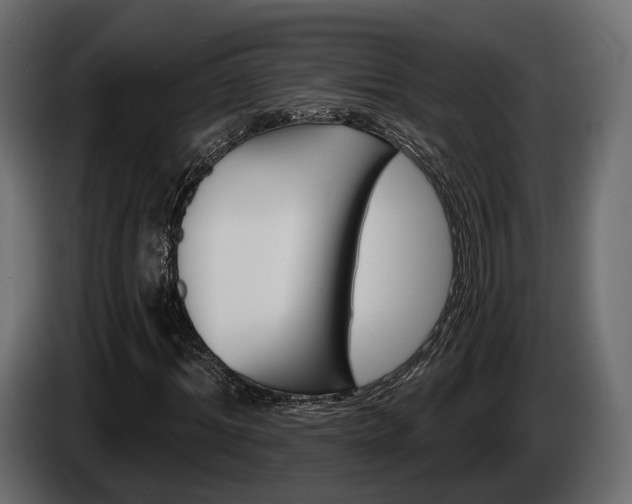 X0000085040964200703051022
