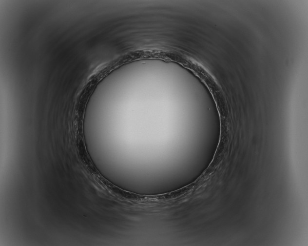 X0000085040968200703051022