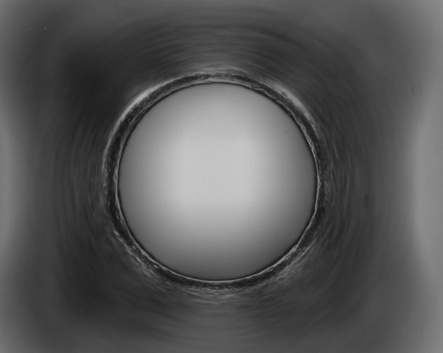 X0000085040975200703051022