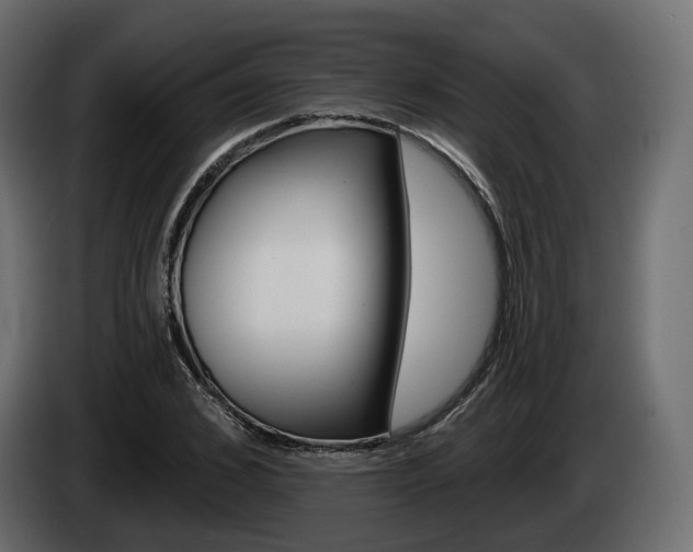 X0000085040976200703051022