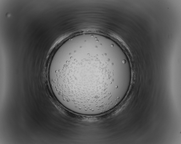 X0000085040978200703051022