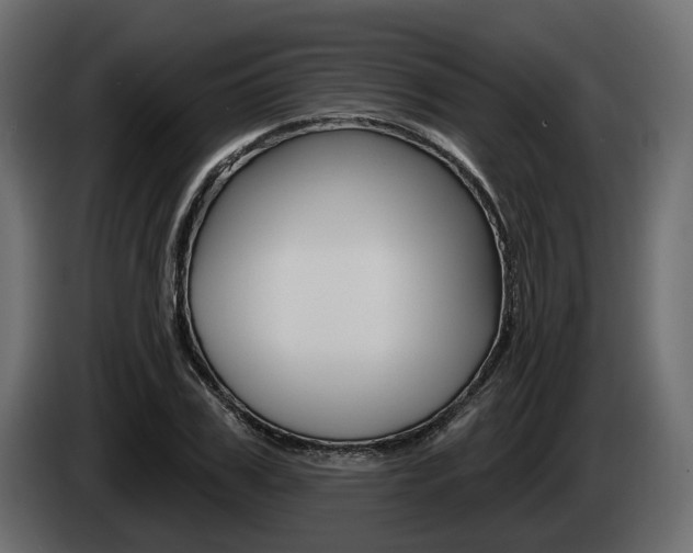 X0000085040979200703051022