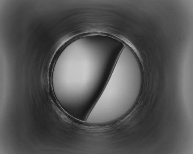 X0000085040980200703051022