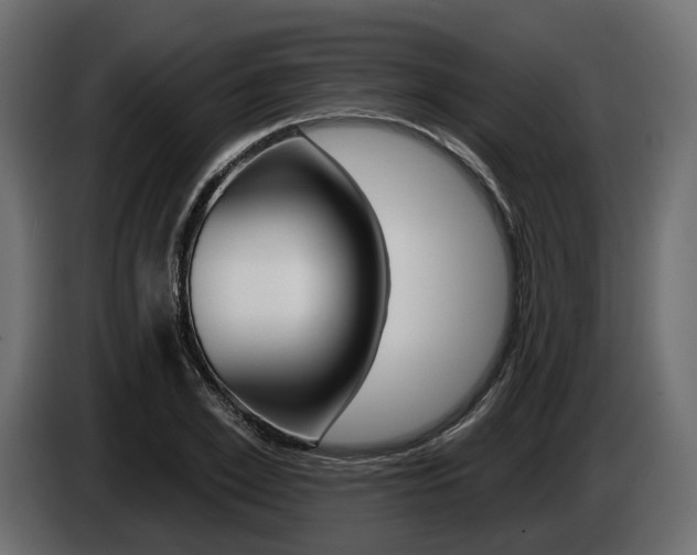 X0000085040981200703051022