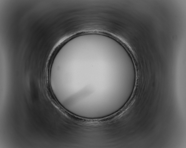X0000085040982200703051022