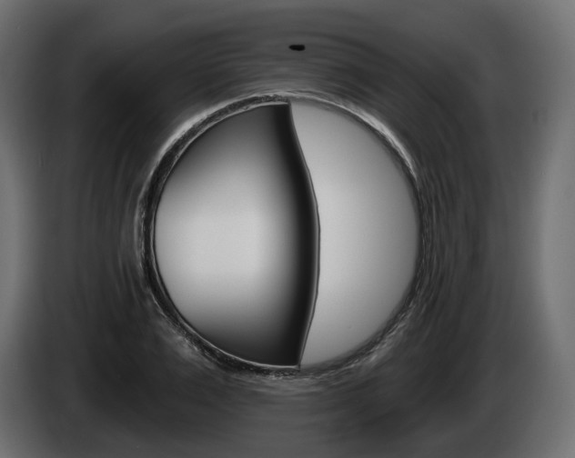 X0000085040983200703051022