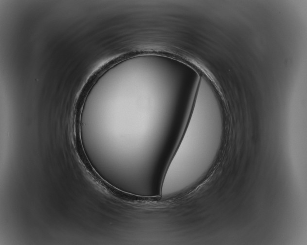 X0000085040984200703051022
