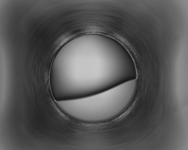 X0000085040985200703051022